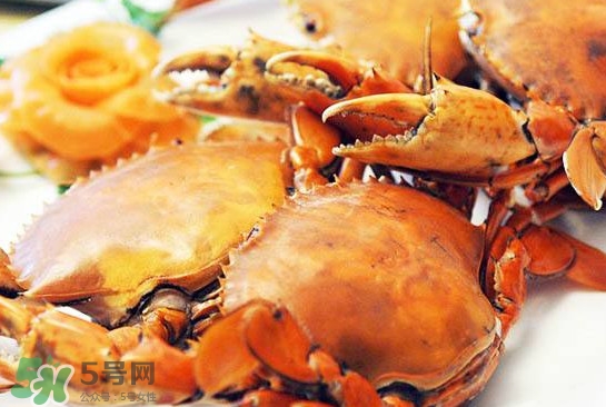 黃油蟹怎么處理？青蟹與黃油蟹有什么區別
