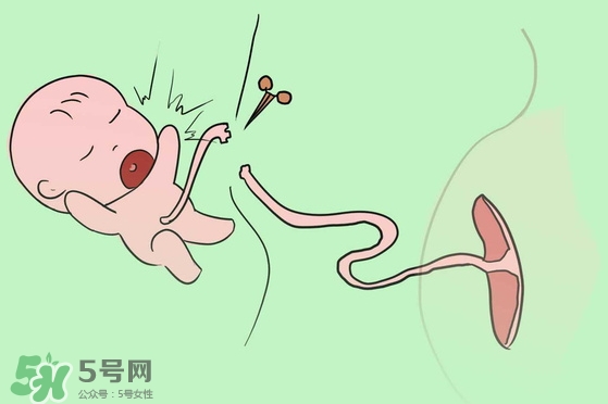 寶寶臍帶什么時候脫落？寶寶臍帶脫落后怎么護理？