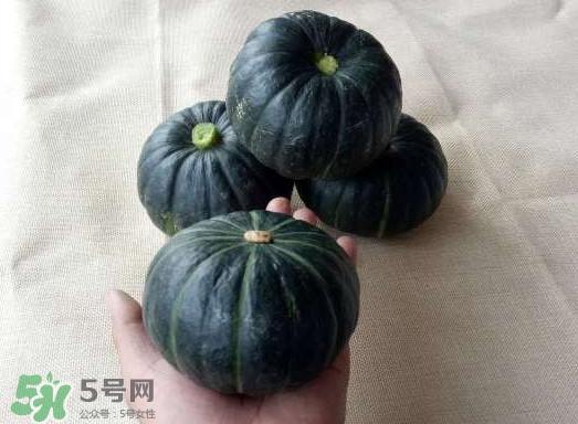 貝貝南瓜是哪里的？貝貝南瓜哪里產的