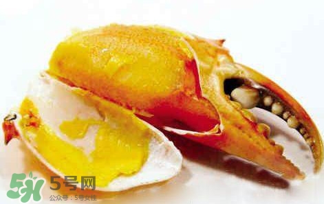 黃油蟹怎么處理？青蟹與黃油蟹有什么區別