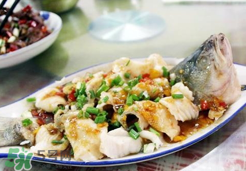 鱸魚為什么沒有刺？鱸魚為什么刺少？