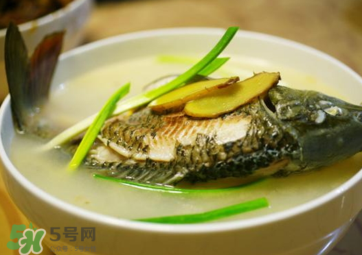 鯉魚湯怎么做好吃？鯉魚湯里面可以放什么？
