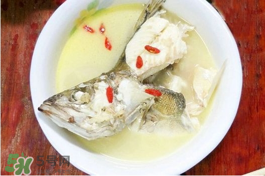 鯉魚湯怎么做好吃？鯉魚湯里面可以放什么？