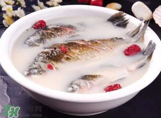 鯽魚(yú)湯里可以放什么菜最好？鯽魚(yú)燉湯放什么菜？