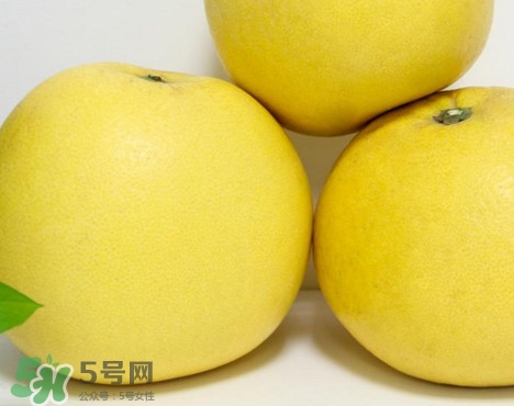 蜜柚是哪個季節(jié)的水果？蜜柚和沙田柚的區(qū)別是什么？