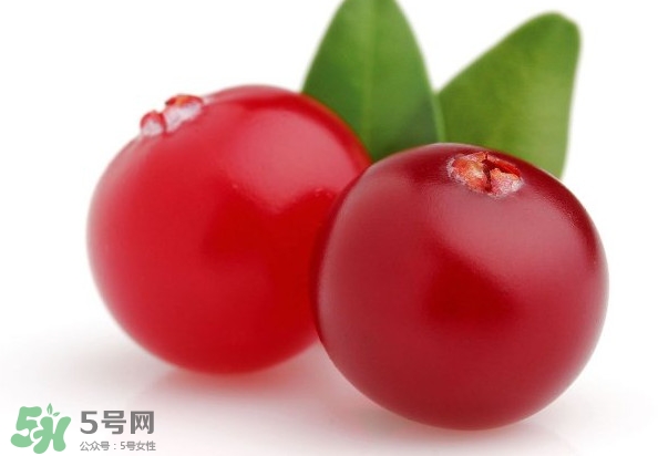 蔓越莓是藍莓嗎？蔓越莓是哪里產的