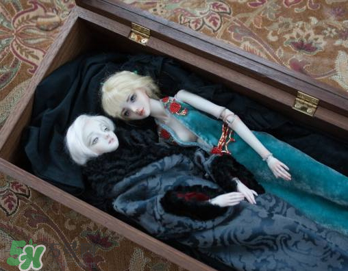 Enchanted Doll多少錢？Enchanted Doll哪里買？