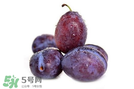 西梅可以放冰箱嗎？西梅放冰箱冷藏還是冷凍？