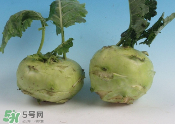 苤藍怎么讀？苤藍孕婦可以吃嗎