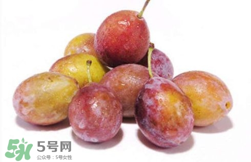 西梅可以放冰箱嗎？西梅放冰箱冷藏還是冷凍？