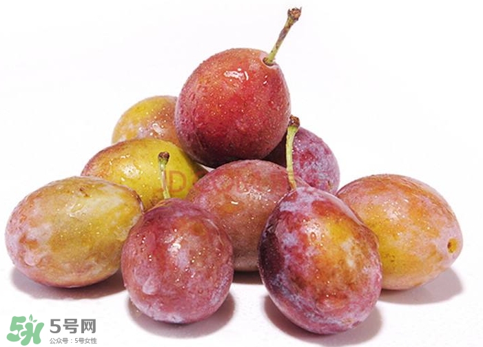 西梅汁怎么做？西梅汁的功效與作用 