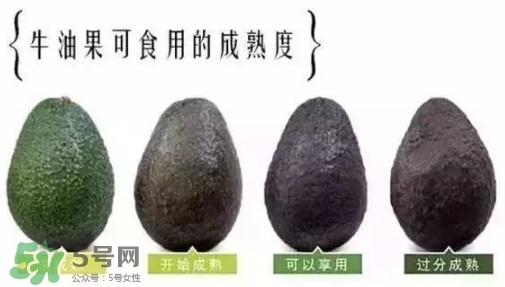 牛油果是什么味道？牛油果是甜的嗎？
