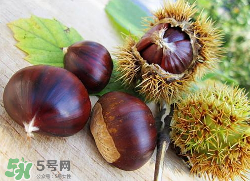 板栗泡酒真的能壯陽(yáng)嗎？板栗泡酒有什么功效？