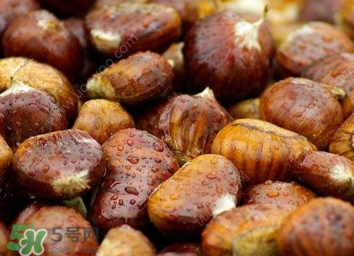 板栗泡酒真的能壯陽(yáng)嗎？板栗泡酒有什么功效？