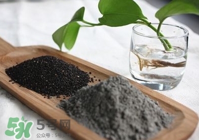 核桃粉寶寶可以吃嗎？寶寶幾個月可以吃？