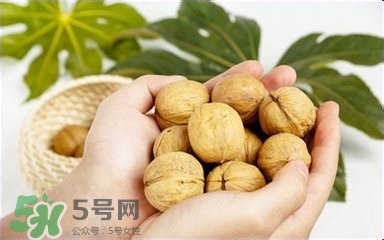 核桃怎么挑選好壞？怎么辨別核桃的好壞？