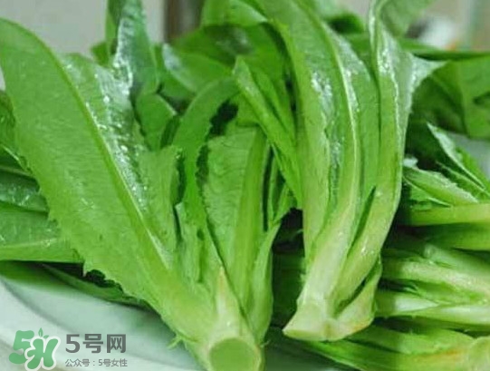 孕婦能吃涼拌萵苣葉嗎？萵苣葉煮水可以治蕁麻疹嗎
