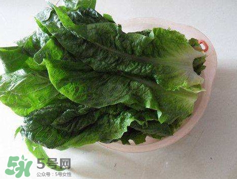 孕婦能吃涼拌萵苣葉嗎？萵苣葉煮水可以治蕁麻疹嗎