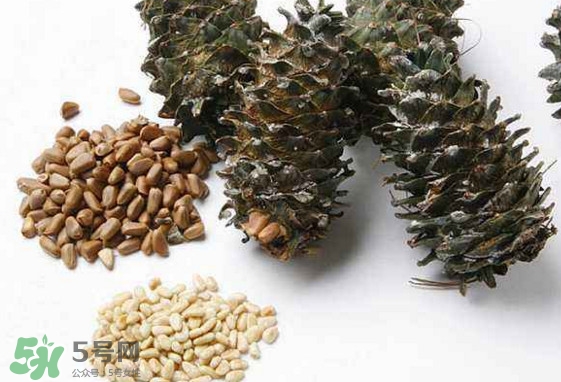 松子是松樹的果實嗎？松子是酸性還是堿性