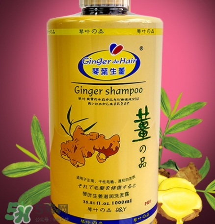 琴葉洗發水是哪國的？琴葉洗發水是幾線品牌