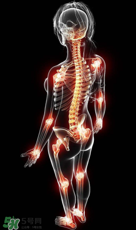 風濕要怎么調理？風濕要吃什么食物調養？