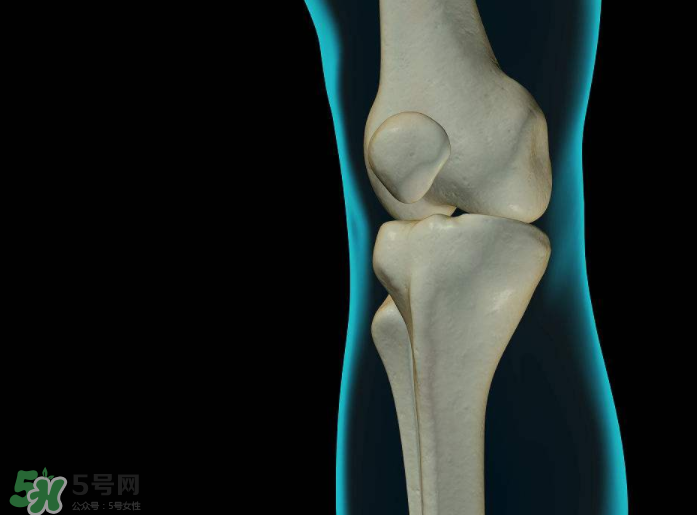 風(fēng)濕會(huì)引起腰痛嗎？風(fēng)濕會(huì)引起手麻嗎？