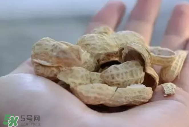 花生發(fā)芽后營養(yǎng)如何？花生殼煮水喝有什么用？