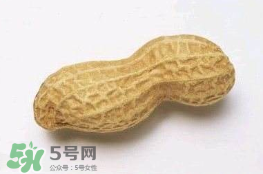 花生有哪些種類型？花生怎么栽培管理？