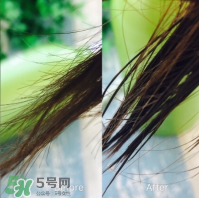 ts護發素怎么樣？ts護發素多少錢