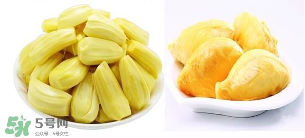 榴蓮和菠蘿蜜一樣嗎？榴蓮和菠蘿蜜哪個營養好？