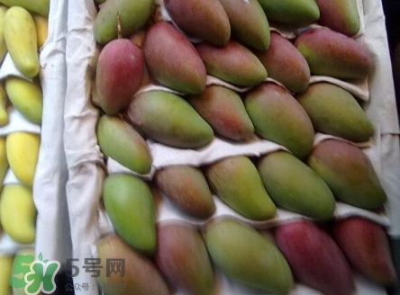 芒果有哪些品種？哪種芒果最好吃？