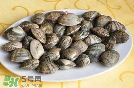 蛤蜊和花甲一樣嗎？蛤蜊和花甲的區別