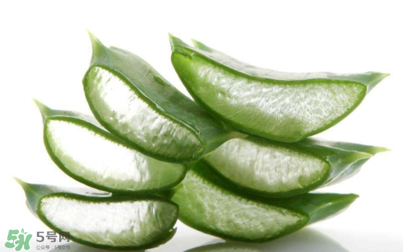 敏感肌能使用蘆薈護膚嗎？蘆薈膠有什么用？