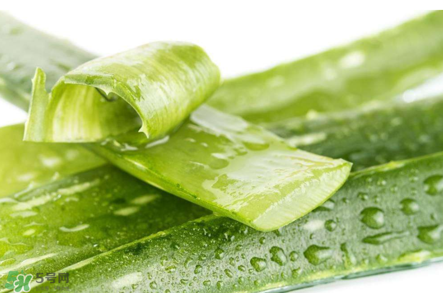 敏感肌能使用蘆薈護膚嗎？蘆薈膠有什么用？