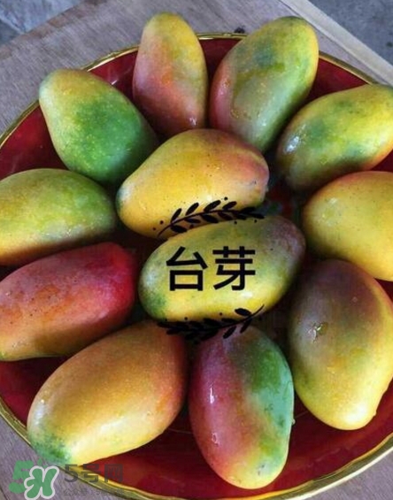 芒果有哪些品種？哪種芒果最好吃？