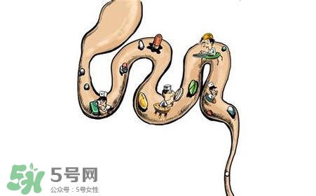 螺旋藻能治胃病嗎？有胃病日常需要注意什么？