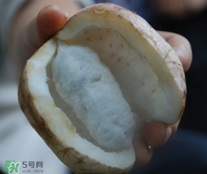 八月瓜可以經常吃嗎？八月瓜可以多吃嗎？