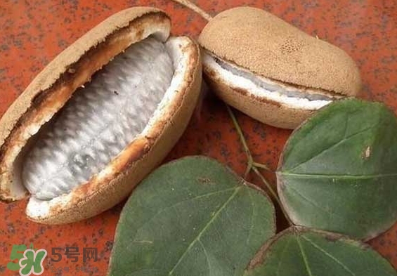 八月瓜能放冰箱嗎？八月瓜怎么保存？