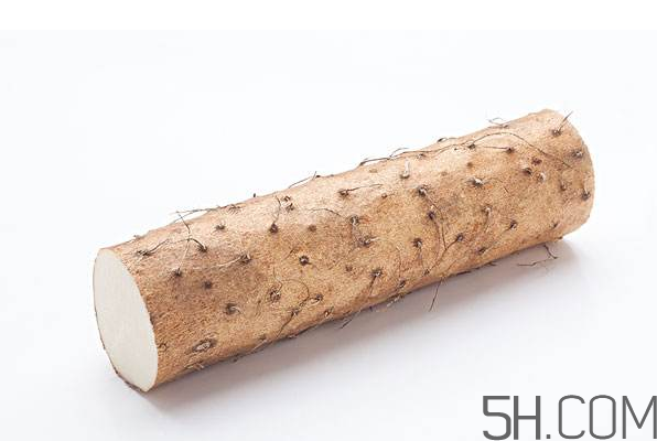 山藥可以每天吃嗎？鐵棍山藥的營養價值是多少？