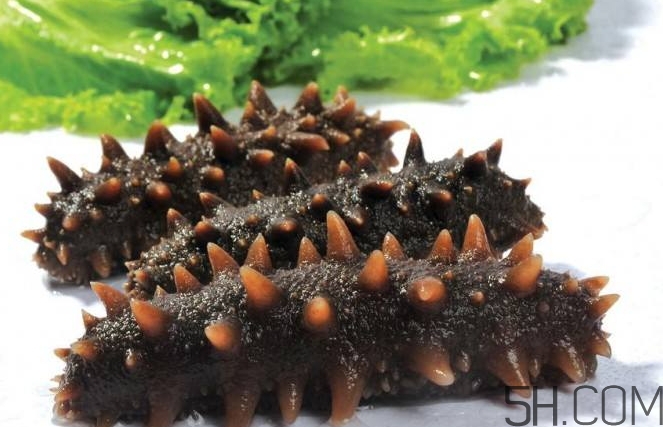 術(shù)后能吃海參嗎？術(shù)后吃海參的功效與作用