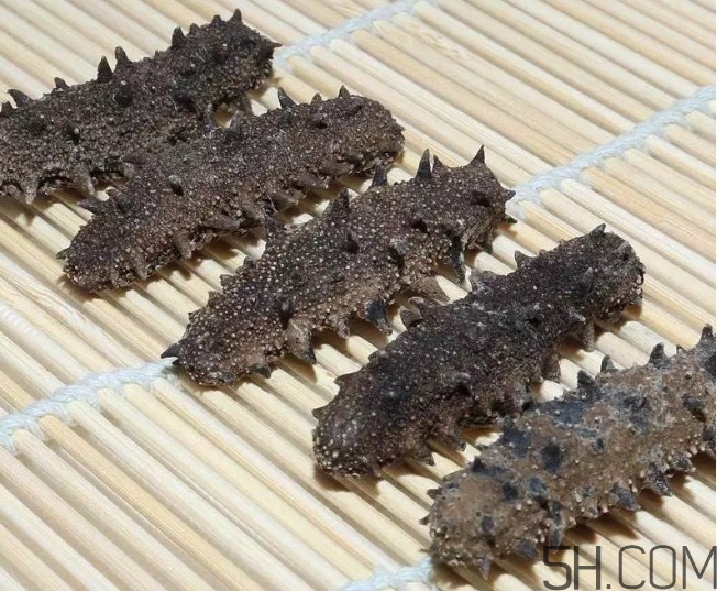 海參顏色深好還是淺好？海參顏色發(fā)白時怎么回事？