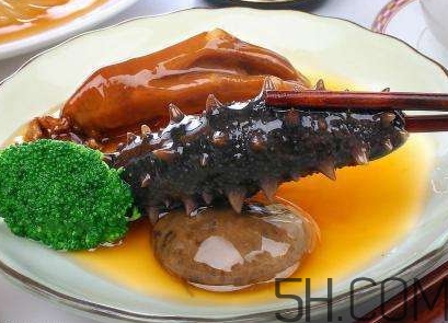 海參是海鮮嗎？海參是動(dòng)物還是植物？