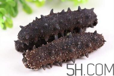 海參是越大越好嗎？海參的生長年限與營養價值有關嗎？
