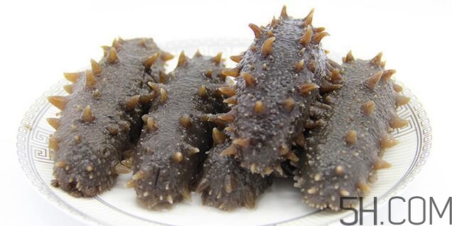 海參是越大越好嗎？海參的生長年限與營養價值有關嗎？