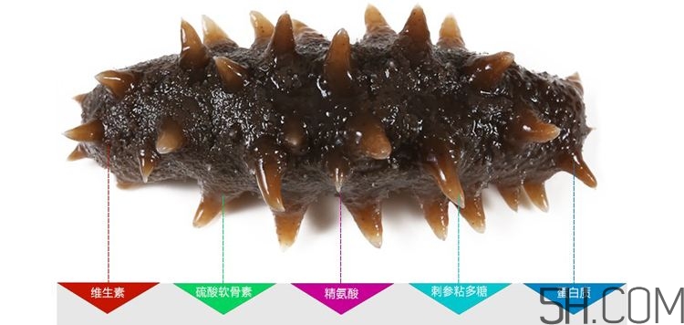 海參哪些部位不能吃？海參的禁忌人群