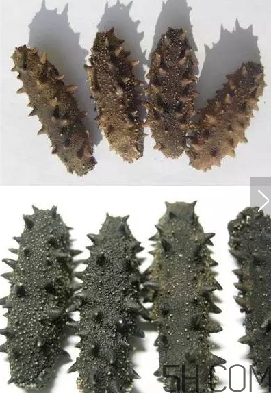 海參顏色深好還是淺好？海參顏色發(fā)白時怎么回事？