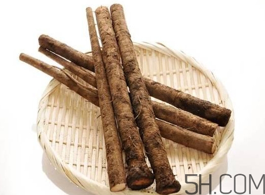牛蒡與什么食物相生相克？牛蒡和山藥有什么區別