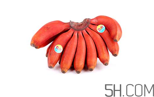 紅香蕉和普通香蕉的區(qū)別？香蕉可以放冰箱冷凍嗎？