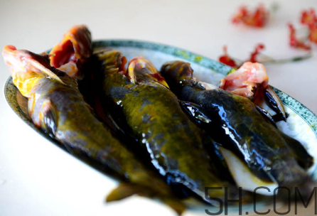 黃骨魚(yú)不能和什么一起吃？黃骨魚(yú)不適合什么人吃？