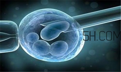 人工授精取卵子怎么取？人工授精男人怎樣取精？